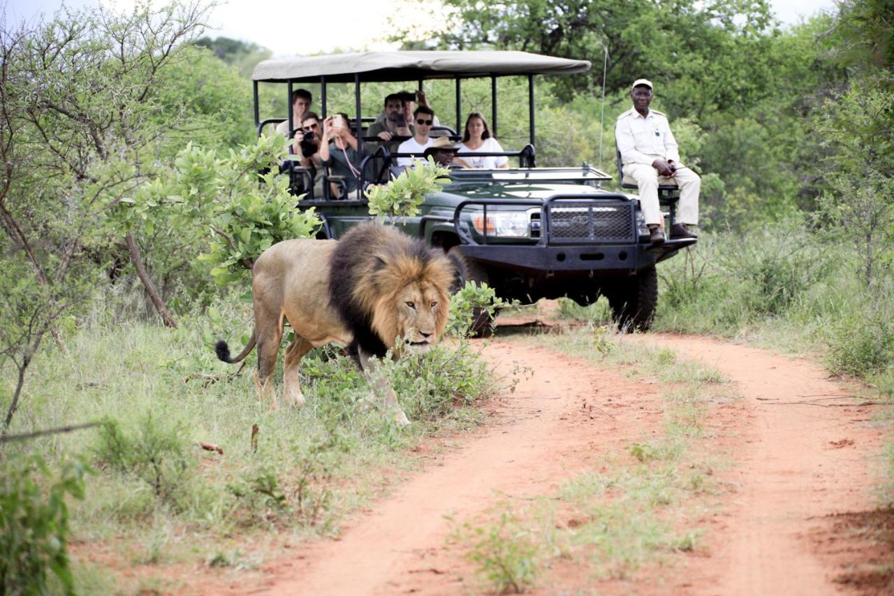 Karongwe Portfolio - Kuname Lodge Karongwe Game Reserve Extérieur photo