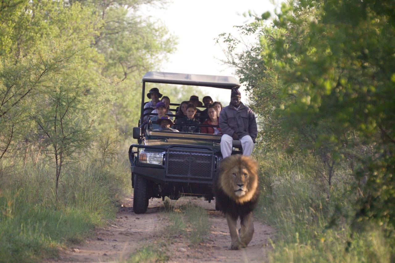 Karongwe Portfolio - Kuname Lodge Karongwe Game Reserve Extérieur photo